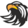 high-risk-security-and-investigation-services-site-icon